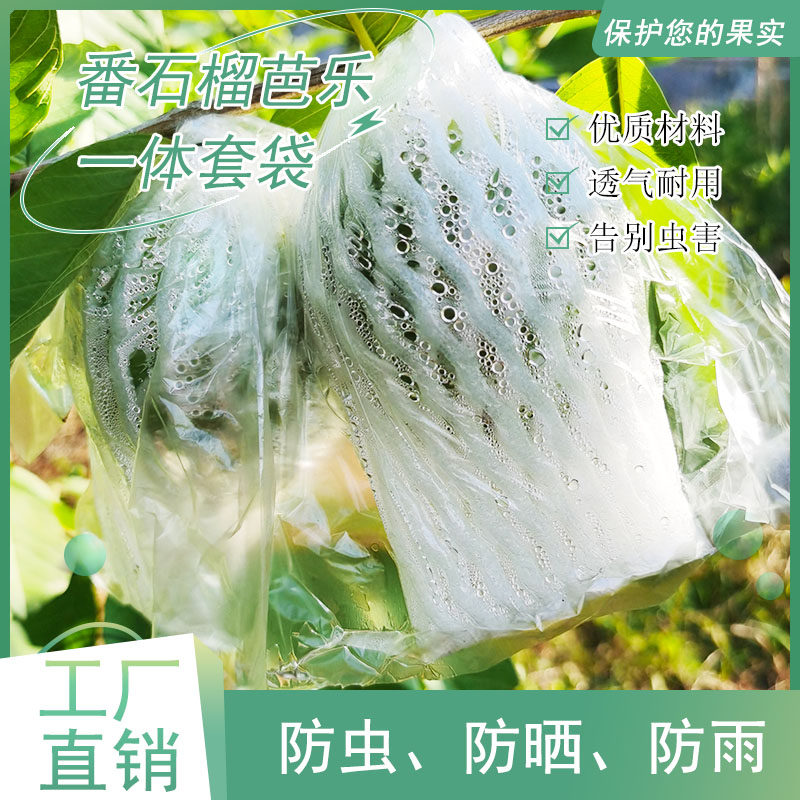 水果网套 番石榴套袋 芭乐石榴防虫网袋专用一体泡沫包装番石榴袋