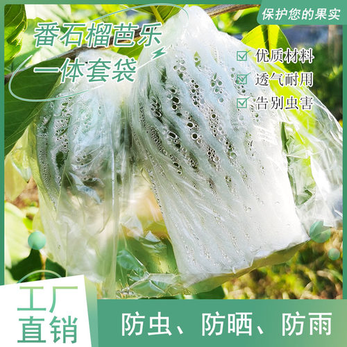 石榴专用一体泡沫包装袋