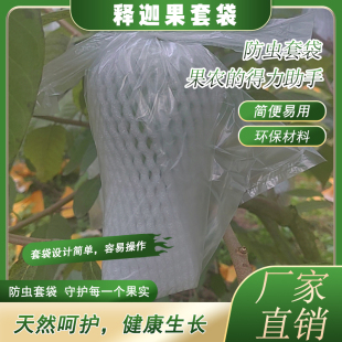 释迦果防虫一体袋加厚可视透明释迦防寒防冻套袋加厚番荔枝保护袋