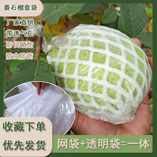 芭乐石榴防虫网袋专用一体泡沫包装 番石榴袋 番石榴套袋 水果网套