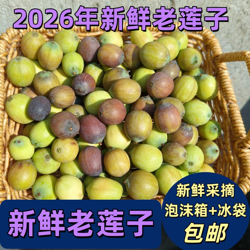 洪湖新鲜老莲子褐色莲子不带蓬乌莲子成熟老莲子2斤3斤4斤包邮
