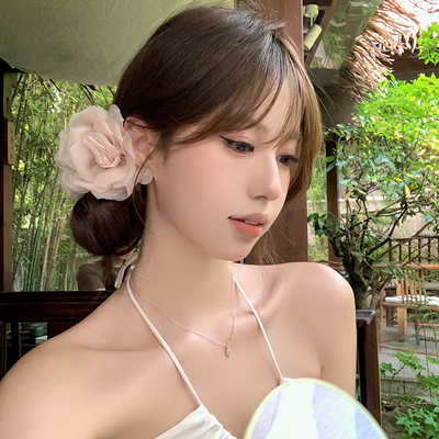 氛围感网纱玫瑰花朵半扎发抓夹