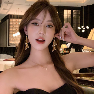 金色长款 格雷小姐 亮片流苏耳环夸张气质晚礼服耳饰女 蜜桃茶