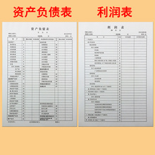 资产负债表+利润表 一套2本 现金流量表 财务会计企业月度报表 A4