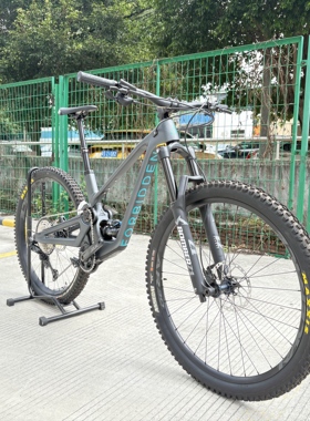 加拿大品牌Forbidden DRUID碳纤维速降软尾山地车29寸DH AM速降车