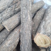 黑木耳种植木料菌材食用菌材木耳专用菌材木头白栎木