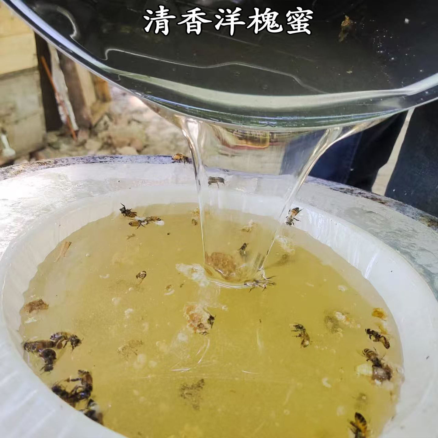 峰密糖2025甘肃天水野生农家纯正无添加新鲜刺洋槐花白蜂蜜包邮