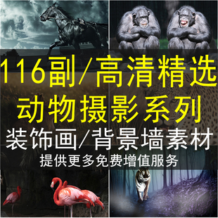 高清动物摄影图片装饰画画芯素材图库大象奔马老虎猴子图片喷绘