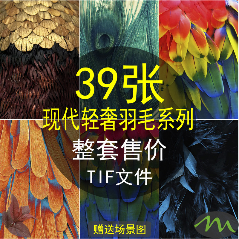 北欧现代轻奢彩色羽毛装饰画画芯素材高清图片库客厅家居微喷打印图片