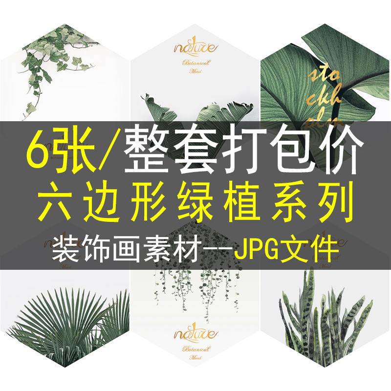 小清新绿叶植物六边形装饰画画芯素材高清图片沙发背景墙餐厅壁画