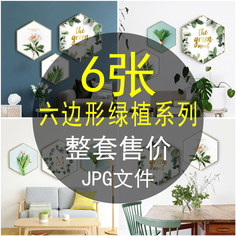 北欧现代小清新绿植花卉六边形装饰画画芯素材客厅玄关背景墙图片图片
