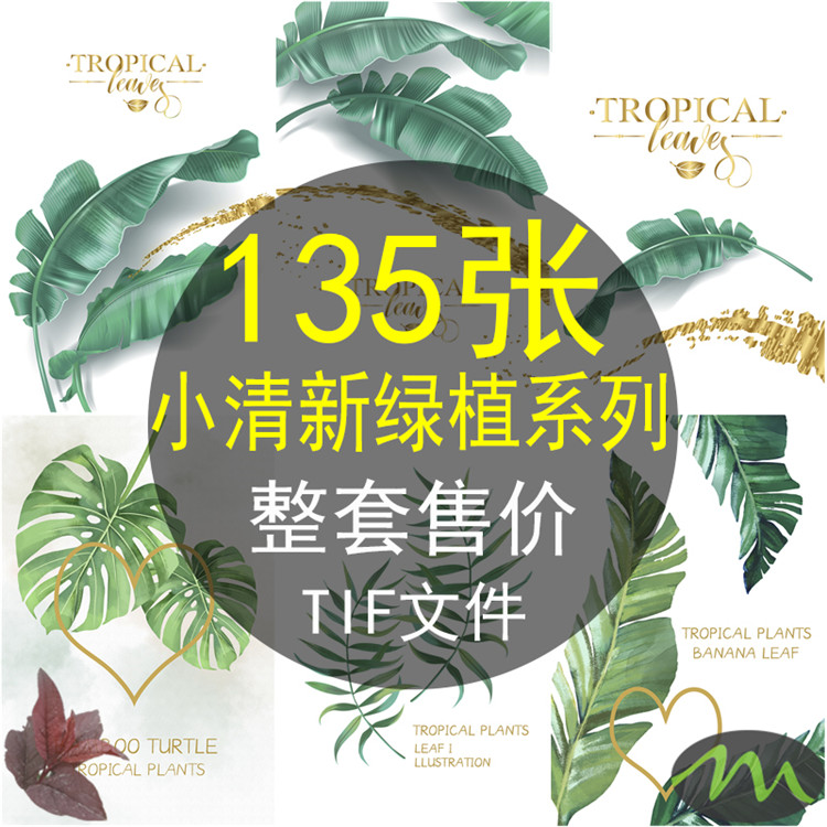北欧小清新绿色植物装饰画画芯素材高清图片库设计画册海报壁挂画图片