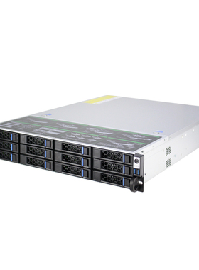 全新拓普龙2U机架云存储服务器12盘S256-12热插拔机箱6GB12GB背板