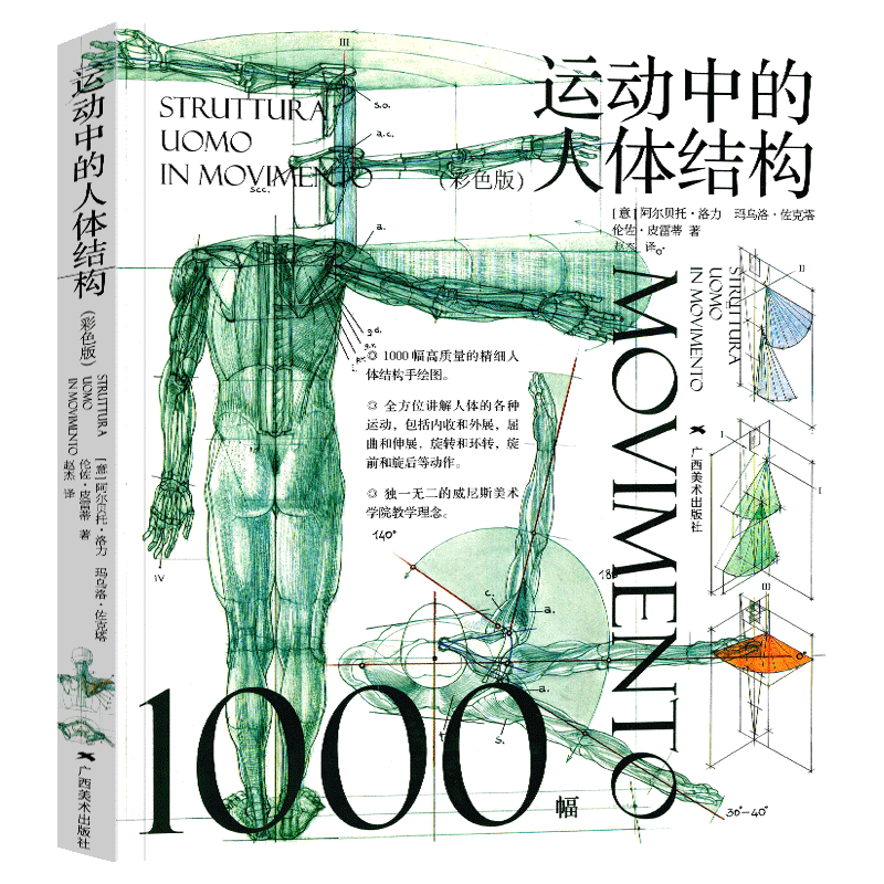 运动中的人体结构 彩色版 威尼斯美术学院 人体躯干骨骼结构绘画教学手绘画图赏析 骨骼解剖艺术素描动人物素描临摹基础技法书籍