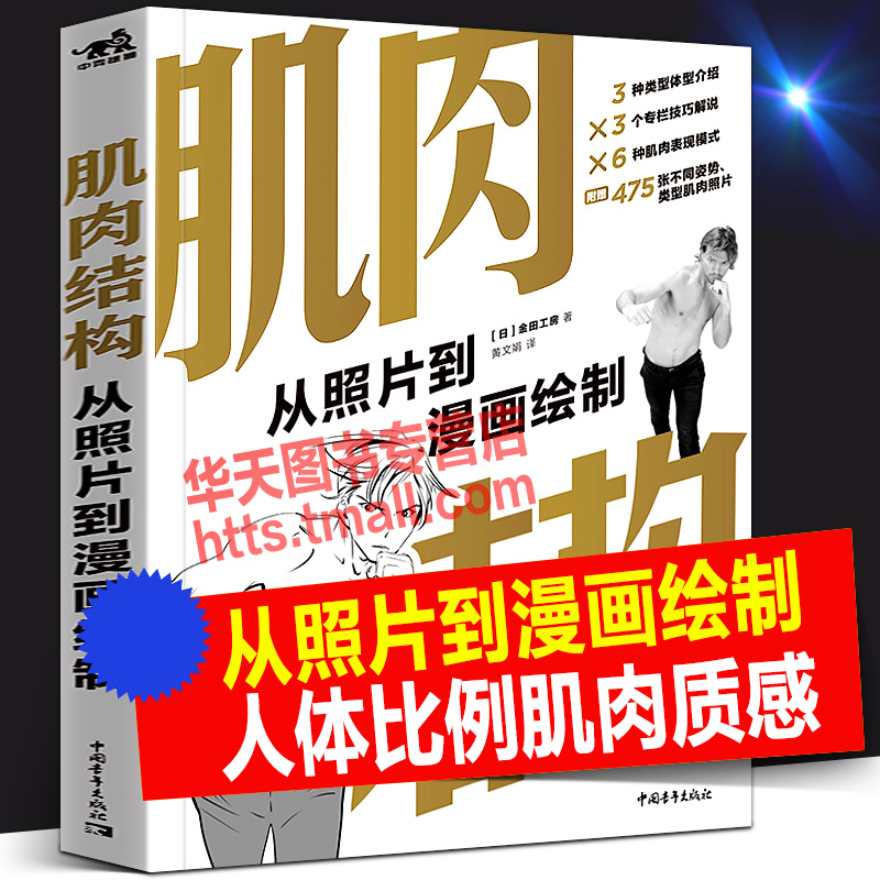 肌肉结构 从照片到漫画绘制 人体结构真实比例肌肉质感线条润色动态姿势动漫游戏影视设计艺术专业师生素描速写手绘画技巧方法中青