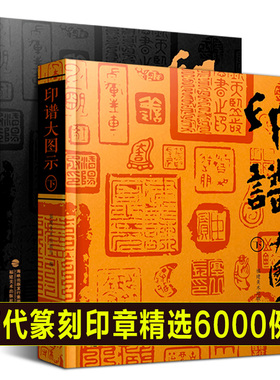 印谱大图示上下2册 篆刻印谱工具字典书6000余方古今印谱 汉官印/汉私印/道家/印章篆刻字典书籍印临摹工具参考书印谱篆刻收藏本