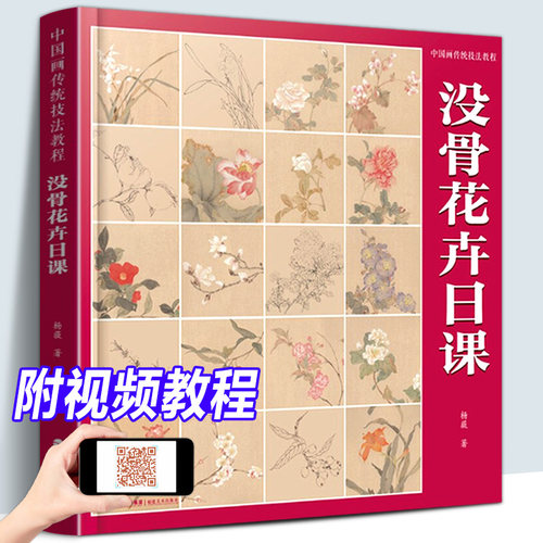 基础入门 视频教学 如师在侧