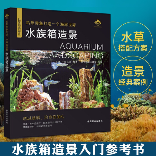 给热带鱼打造一个海底世界
