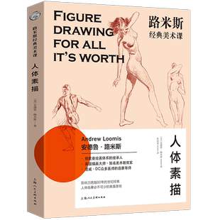 正版 路米斯经典美术课 西方经典美术技法译丛 人体素描安德鲁路米斯 西方人体骨骼静物写生素描绘画美术艺术教程书伯里曼绘画体系