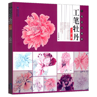 工笔牡丹一点通 工笔技法精解 刘金保绘 工笔花鸟画扇面临摹鉴赏专业美术爱好者绘画技法画法 中国画绘画初学者入门基础知识图书籍