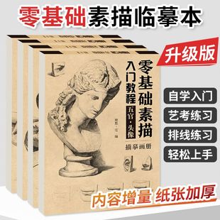 零基础素描入门教程素描画册临摹本素描初学者零基础自学素描入门教材组合单体静物几何形体五官头像临摹画册