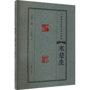 来楚生 中国篆刻流派名家印精粹 历代名家篆刻印谱印章作品集李刚田编印章玺印作品集 河南美术出版社