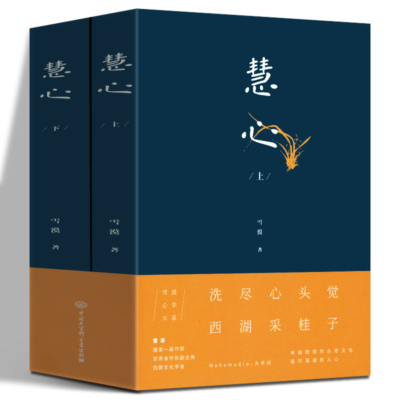 慧心 上下2册 雪漠著 雪漠书籍系列中国哲学国学文化佛法修正宗教哲学佛修持人生智慧国学经典书籍 中国传统文化书籍 大百科出版社