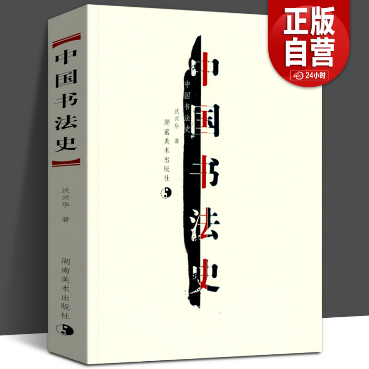 中国书法史书法字画沃兴华著书法起源甲骨文字金文书法篆书隋唐五代沈曾植书法艺术书法史教材历代名家理论湖南美术出版社