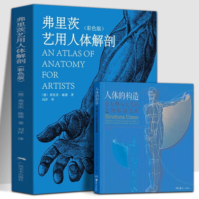 人体的构造—意大利八大美院艺用