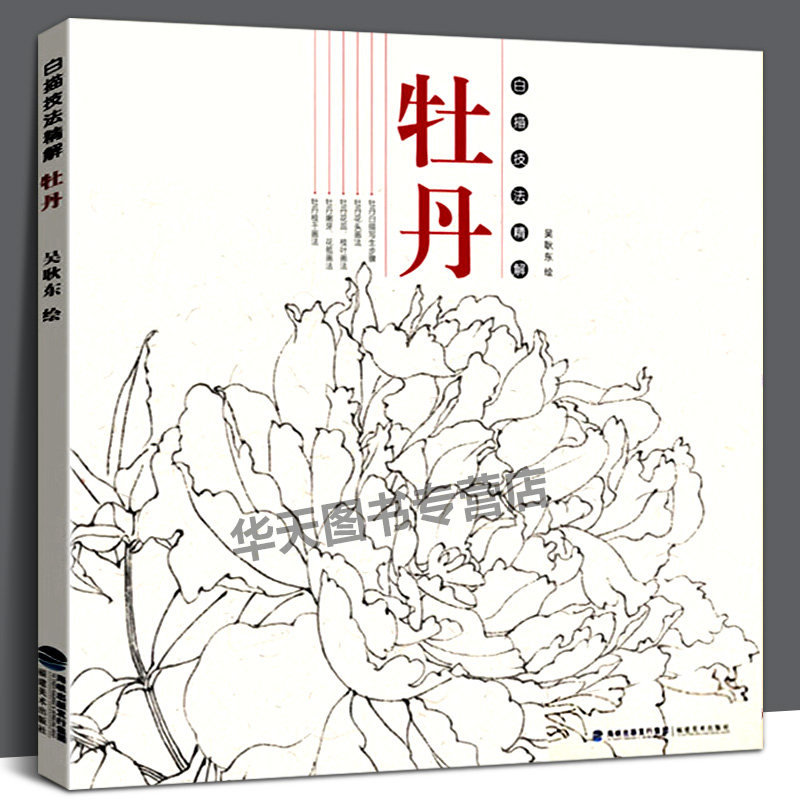 植物工笔画白描底稿书白描勾线画谱美术绘画初学者入门到精通基础教程