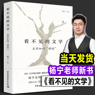 正版书籍 看不见的文学：文学如何理论 杨宁 著  哔哩哔哩B站知名up主文学理论  据B站课程《杨宁老师的文学启示课》课程讲稿改编