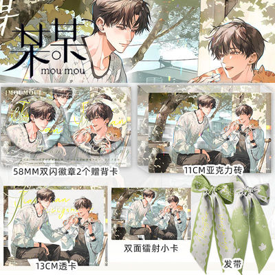 某某原著衍生周边骄阳系列双闪徽章透卡亚克力砖发带盛望小说周边