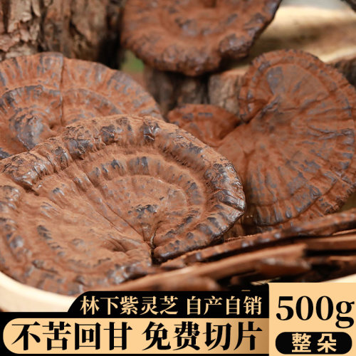 新采摘林下整朵一斤装紫灵芝