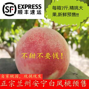 白凤桃水蜜桃兰州香甜多汁