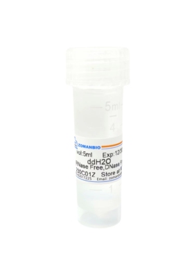 ddH2O（Nase Free,DNase Free）超纯水无酶无核酸酶