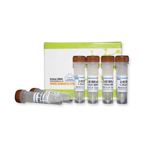 Stbl3菌株DB3.1菌株Rosetta(DE3)菌株JM110菌株 微生物培养菌种