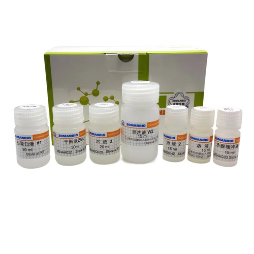 质粒小量提取试剂盒 快速提取多至40μg高拷贝生物质粒DNA