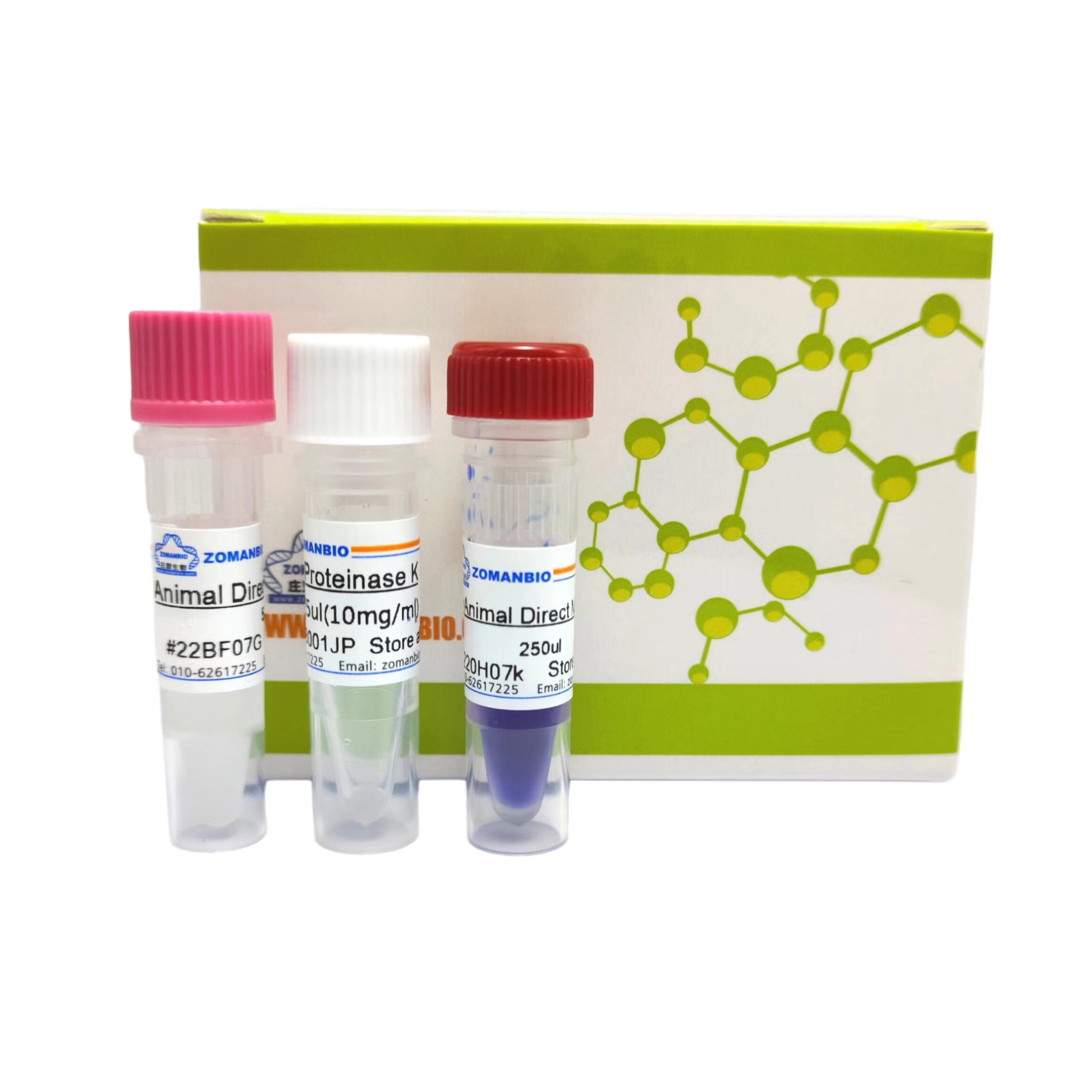 快速动物组织直接PCR(直扩)试剂盒 Animal Direct PCR Kit