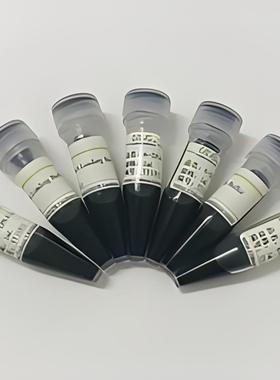 RNA上样缓冲液(6×) RNA凝胶加样缓冲液 6× RNA Loading Buffer