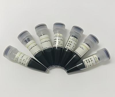 RNA上样缓冲液(6×) RNA凝胶加样缓冲液 6× RNA Loading Buffer