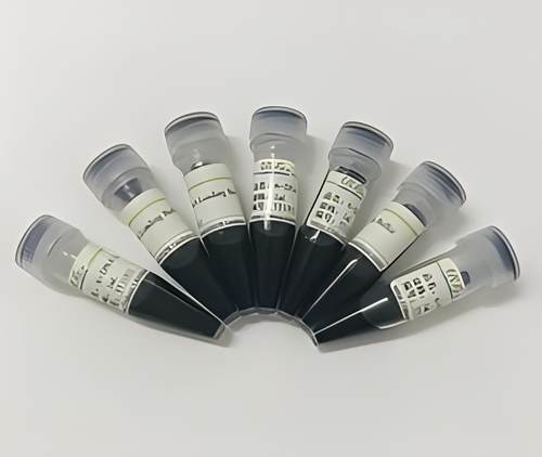 RNA上样缓冲液(6×) RNA凝胶加样缓冲液 6× RNA Loading Buffer