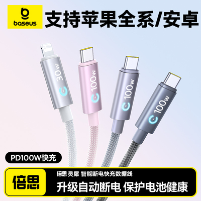 BaseusUSBCToTypeCCable