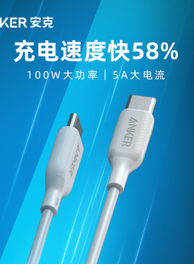 Anker Type c Cable 100W 6ft Powerline III USB C to Type C