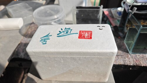 直播拍品