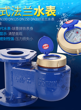 上进下出/下进上出竖立式水表机械工业自来水法兰工业用dn100垂直