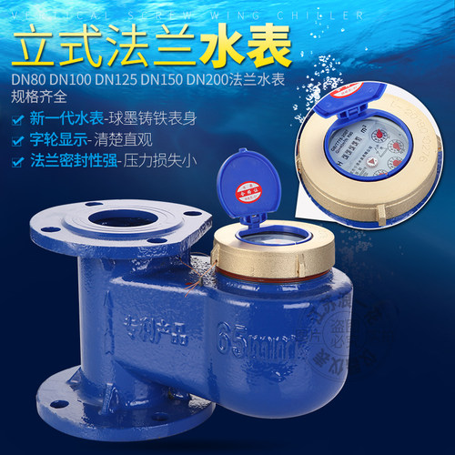 上进下出工业冷热法兰竖立式水表