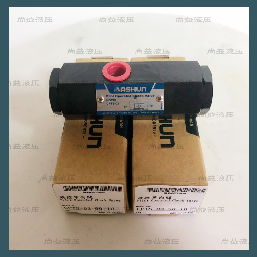 CPTS-03引导逆止阀ASHUN管式液控单向阀原装油顺保压阀油缸自锁阀