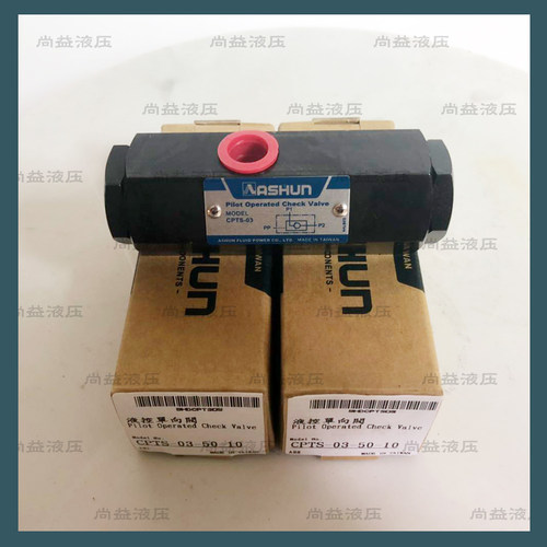 CPTS-03引导逆止阀ASHUN管式液控单向阀原装油顺保压阀油缸自锁阀