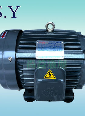 台湾群策5HP 3.75KW 千瓦 TRADE S.Y MARK  内插式 电机 C05-43B0