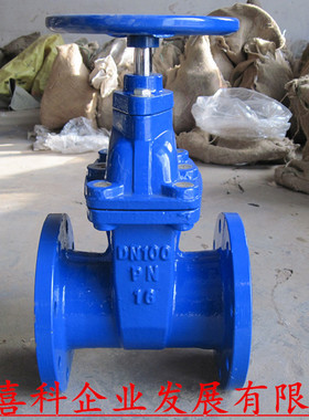 RVHX Z45X-16 软密封法兰闸阀 暗杆弹性座封闸阀 DN50 100 DN500